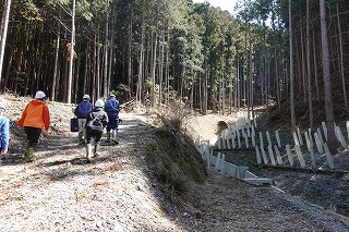 スギ林内の林道を進み、現場へ向かう職員と参加者