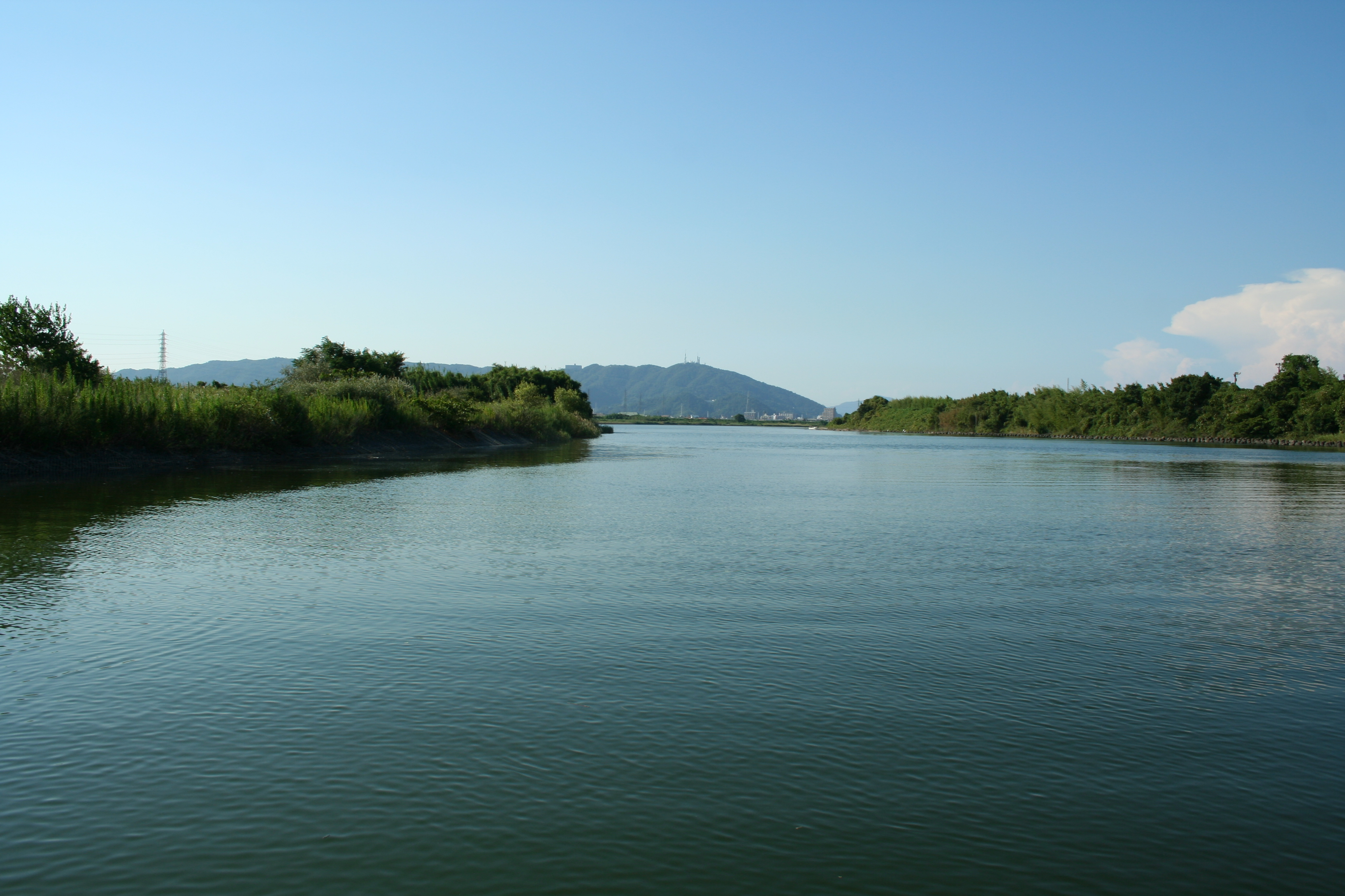 勝浦川(徳島市付近)の写真