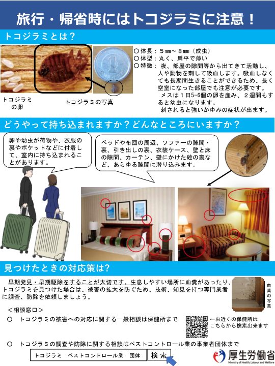 「旅行・帰省時にはトコジラミに注意！」のチラシ