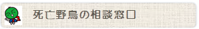 死亡野鳥相談窓口