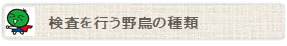 検査を行う野鳥