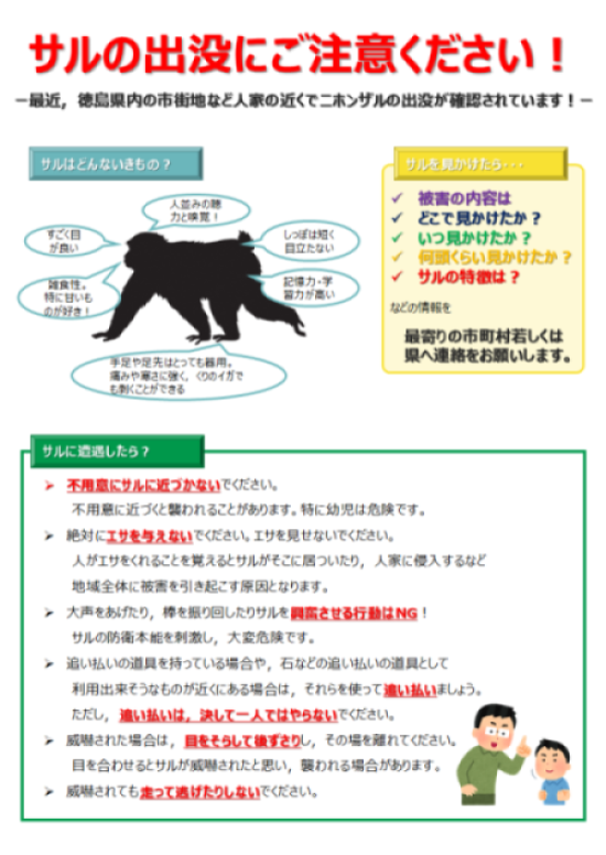 サルの出没注意チラシ