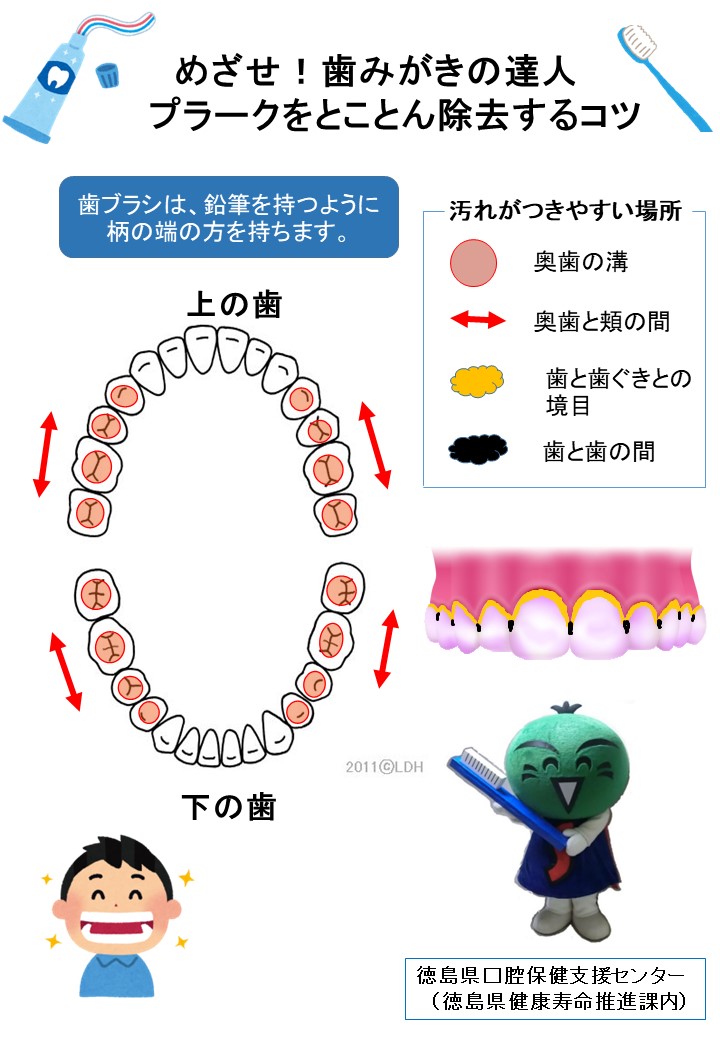 歯磨きの達人