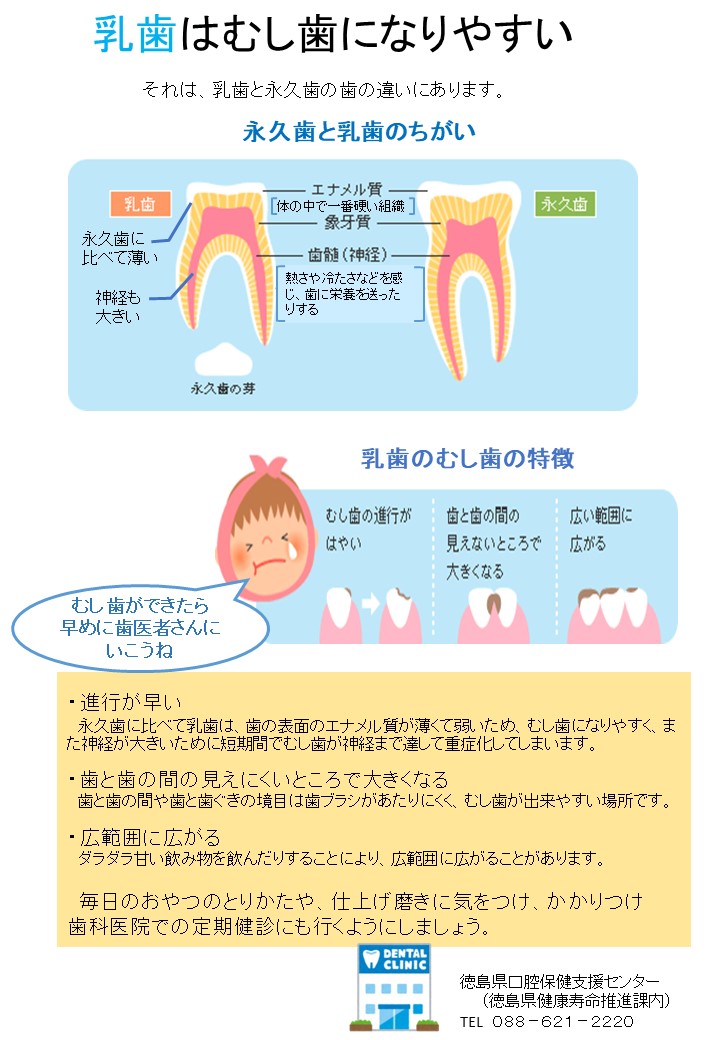 乳歯は虫歯になりやすい