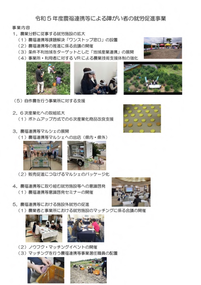 令和5年度の実績