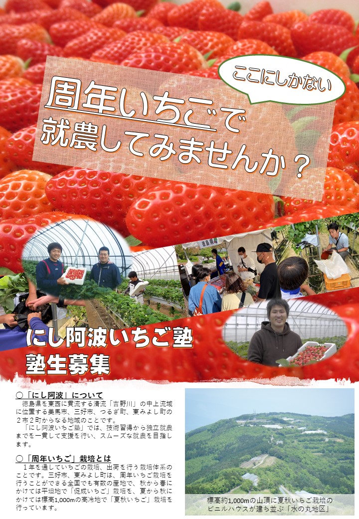 にし阿波いちご塾生募集リーフレット（表）