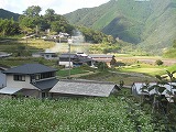 そばと棚田