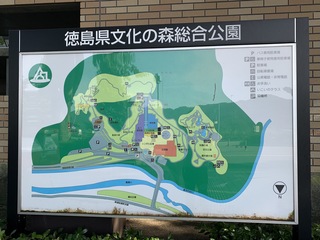 S__73179148.jpg