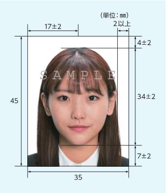 写真の寸法説明図