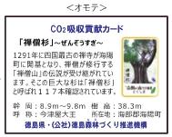 CO2吸収量貢献カード（表）、ピンバッチ付き