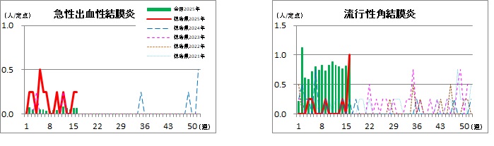 眼科定点の週別報告数推移16w