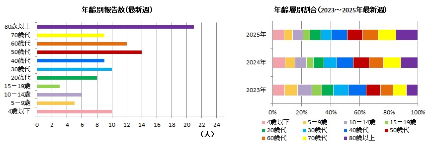 新型コロナウイルス感染症年齢層別報告16w