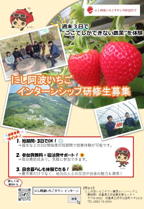 にし阿波いちごインターンシップ募集チラシ