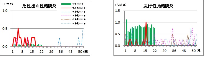 眼科定点22w