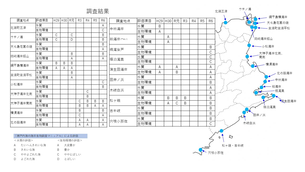 海岸生物調査
