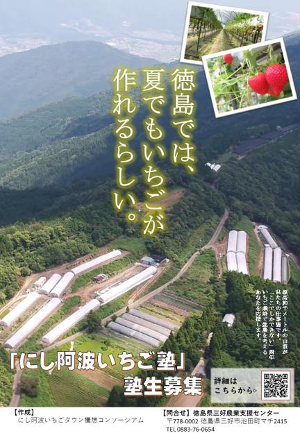 「にし阿波いちご塾」募集ポスター