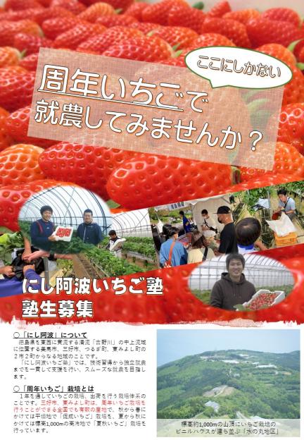 「にし阿波いちご塾」募集リーフレット（表）