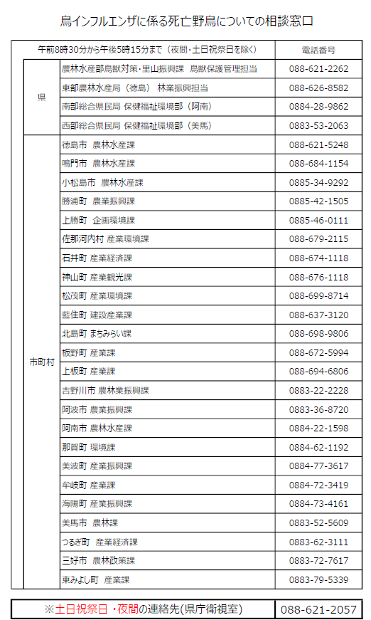 相談窓口