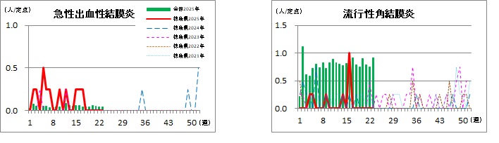 眼科定点23w