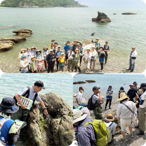 大神子海岸