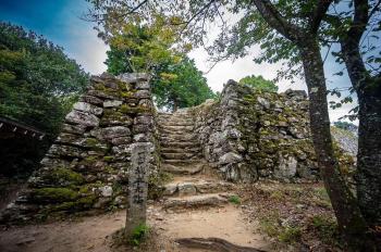 埋蔵文化財フォトコンテストの優秀賞作品です。苔むした一宮城の石垣が写っています。
