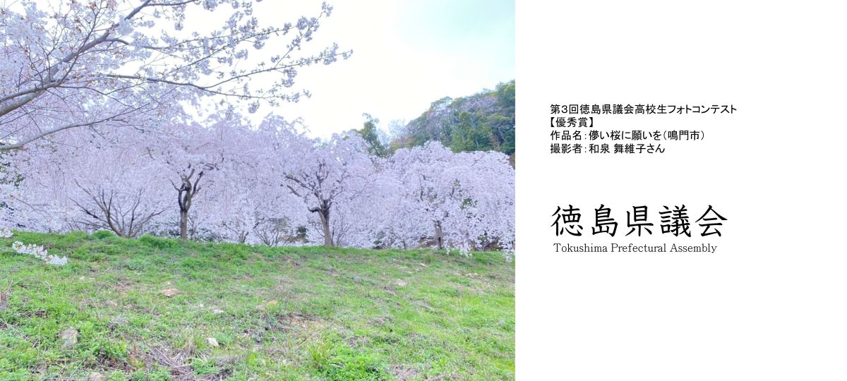 第3回徳島県議会高校生フォトコンテスト優秀賞 儚い桜に願いを（鳴門市）