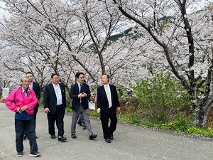 ビッグひな祭り・勝浦さくら祭りの画像01
