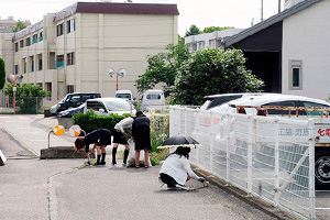 サムネイル写真