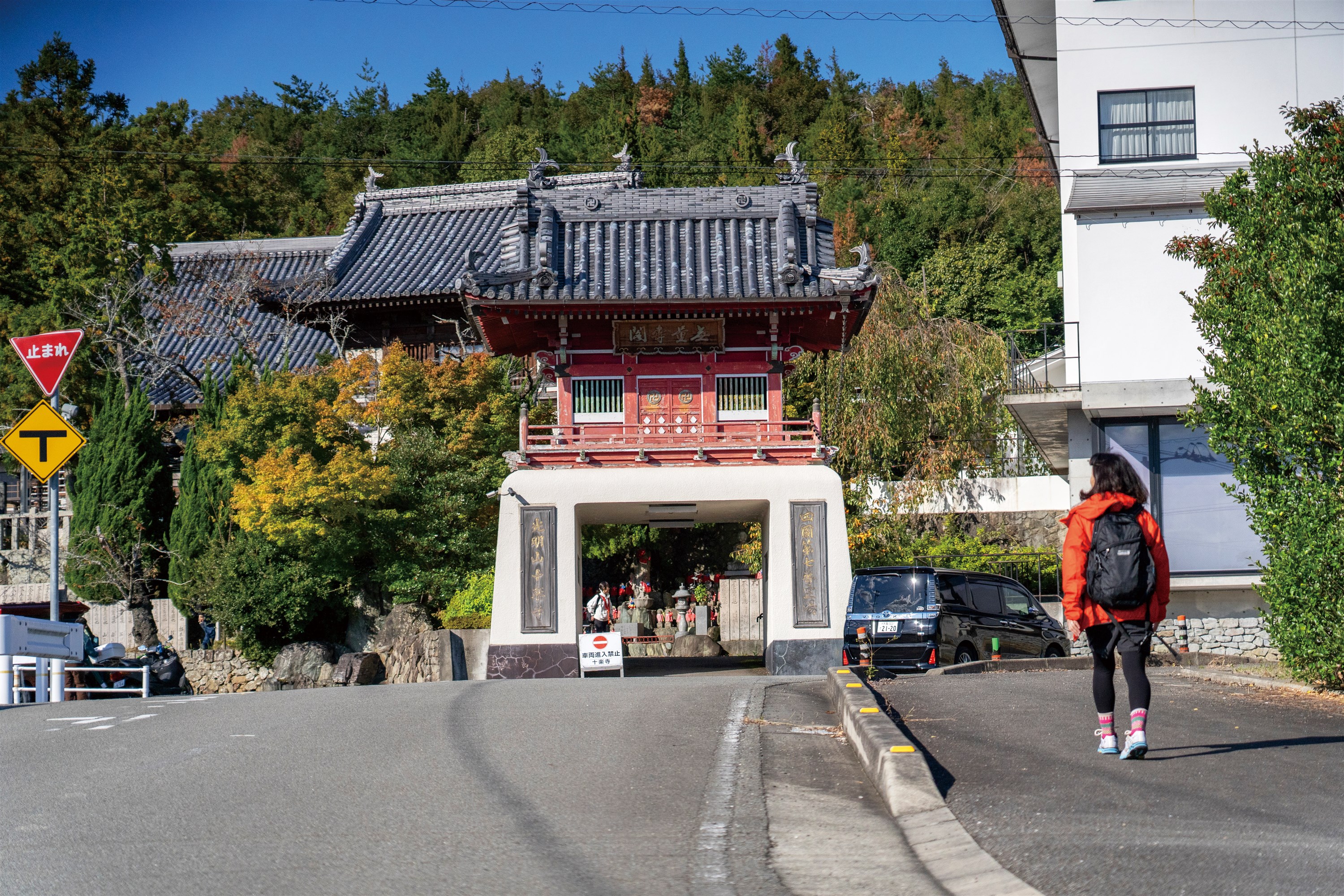 丘陵地果樹園のみち