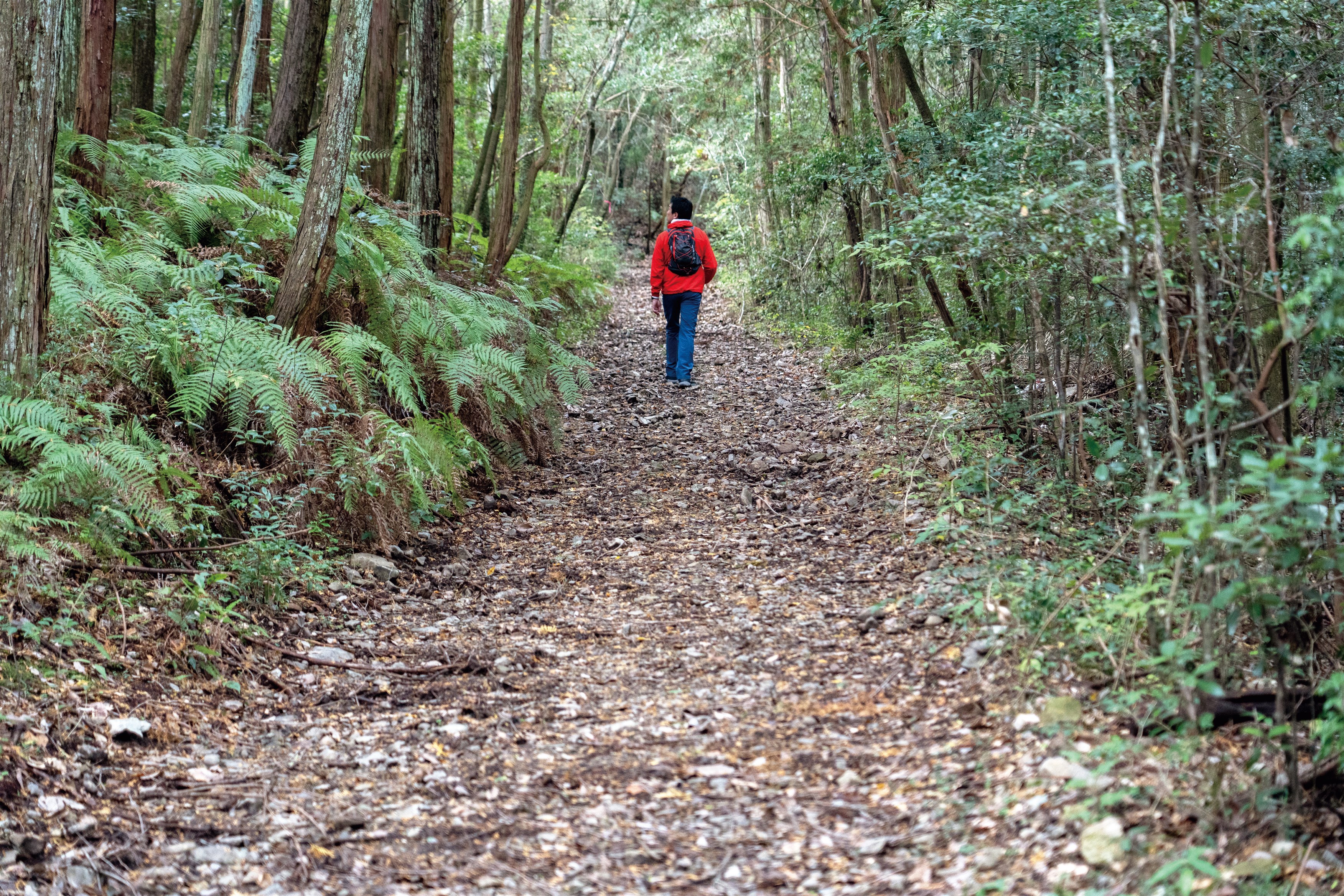 山寺のみち