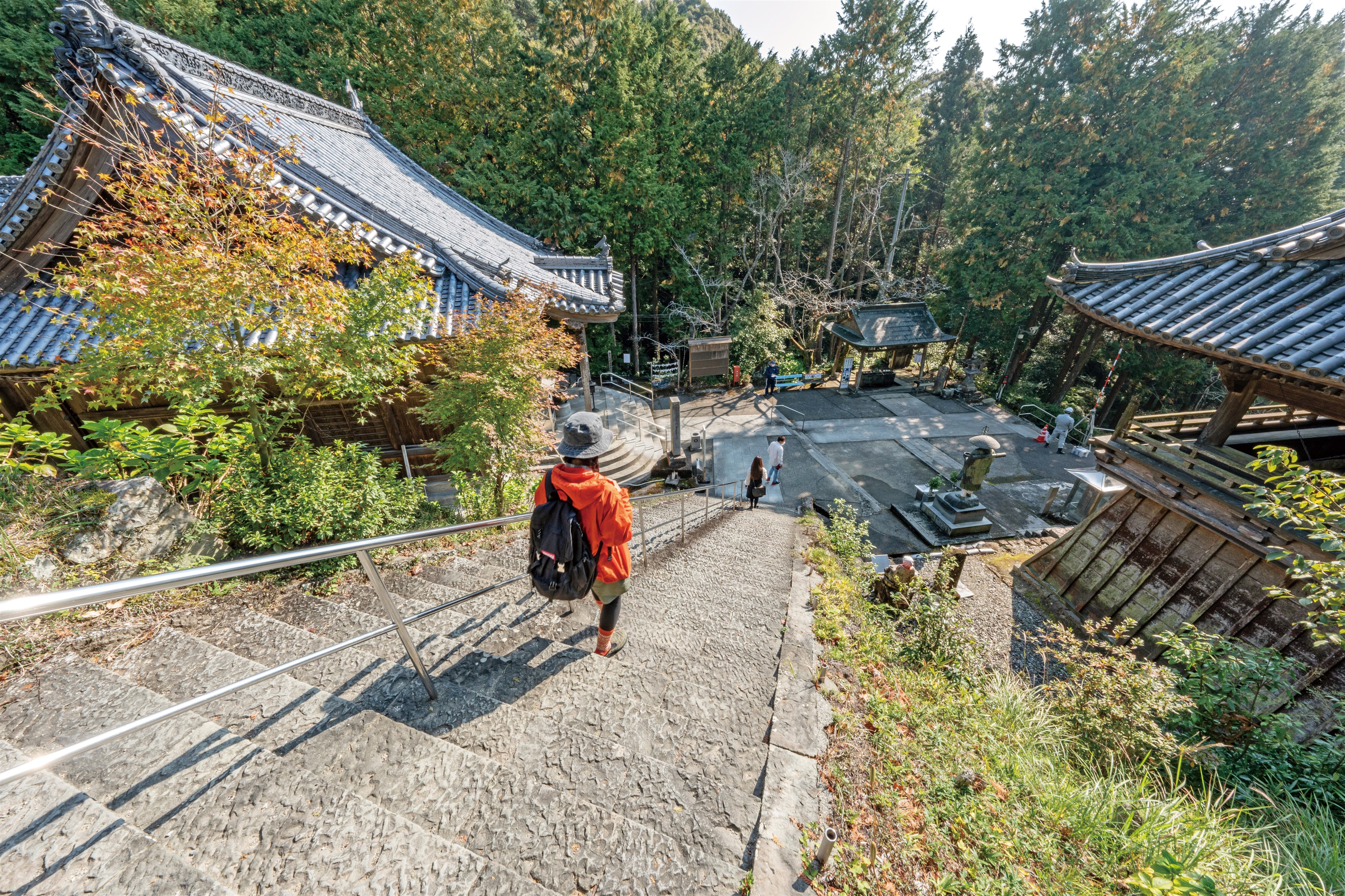 山峡からの遍路みち