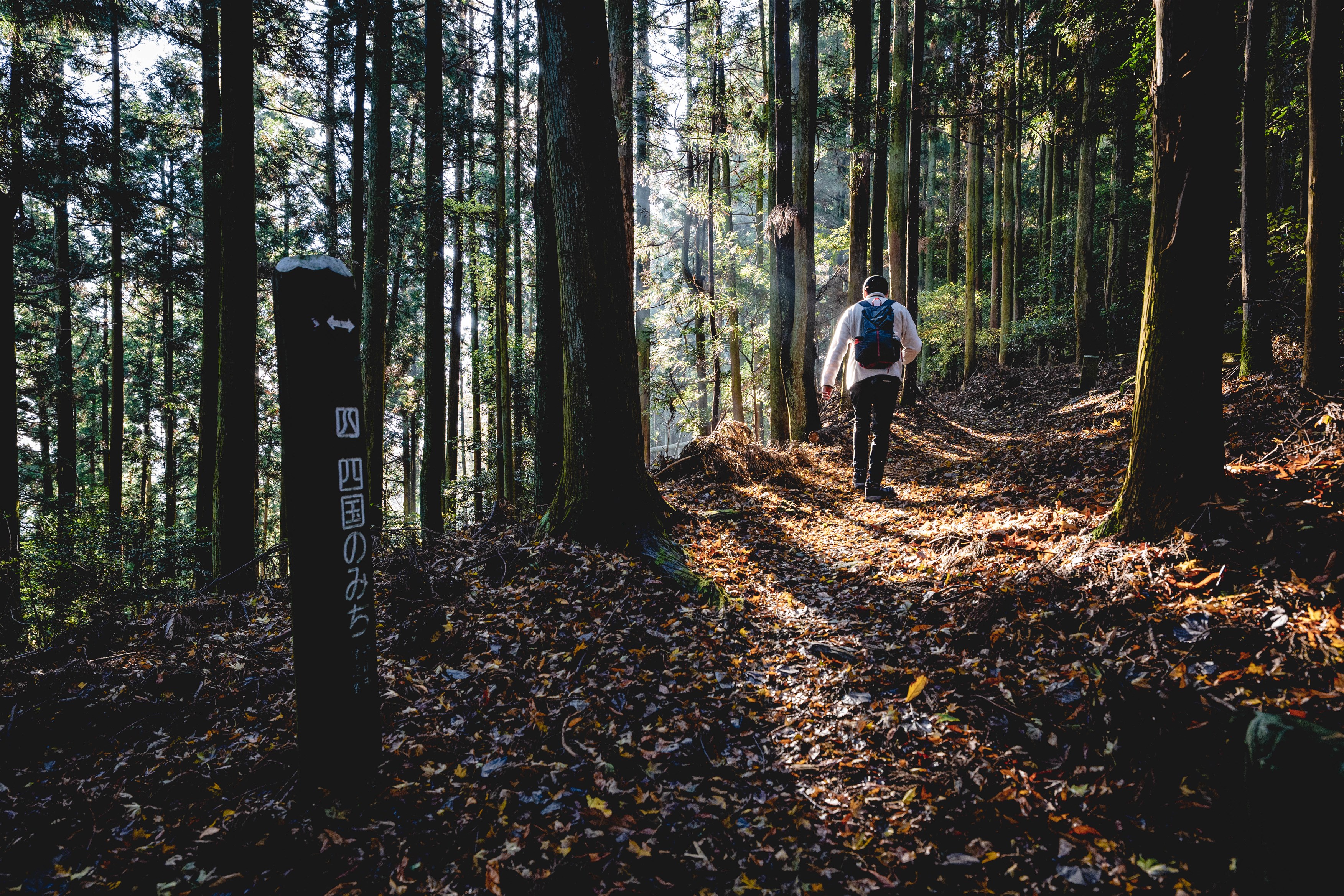 焼山寺山峡の遍路みち