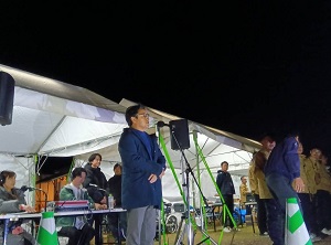 全国花火師競技大会「にし阿波の花火」の写真